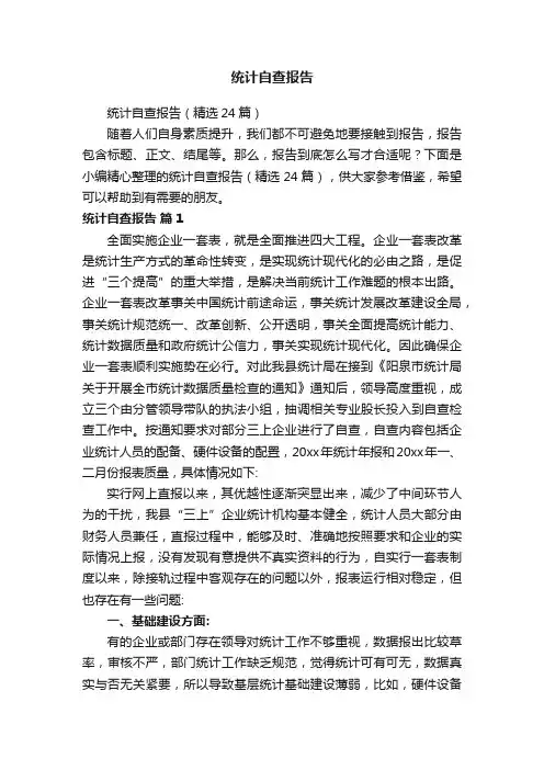 统计自查报告