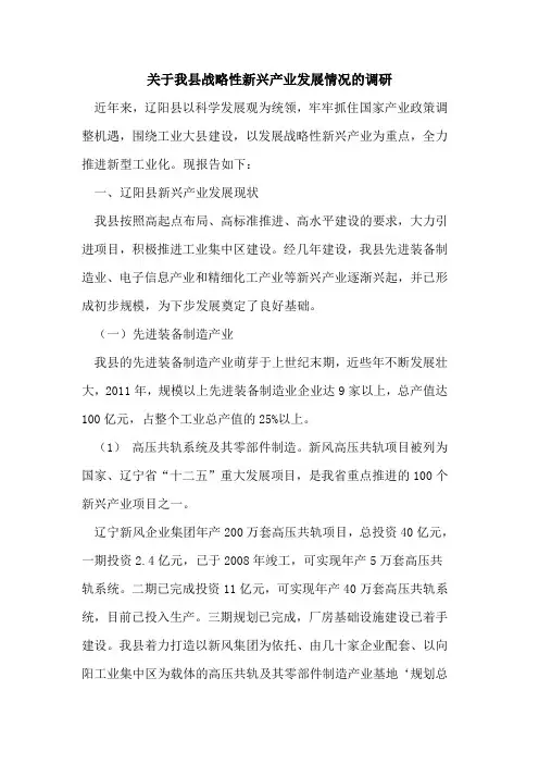 我县战略性新兴产业发展情况调研