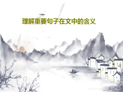 理解重要句子在文中的含义22页PPT