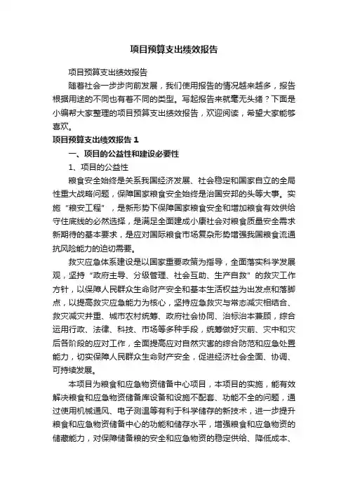 项目预算支出绩效报告