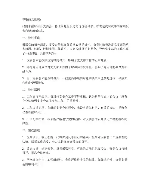 未召开支委会的检讨书范文