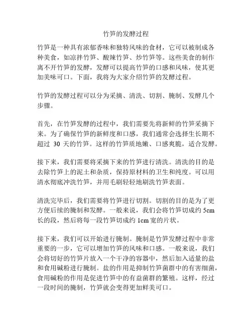 竹笋的发酵过程