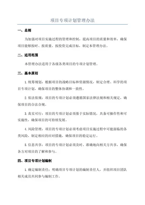 项目专项计划管理办法
