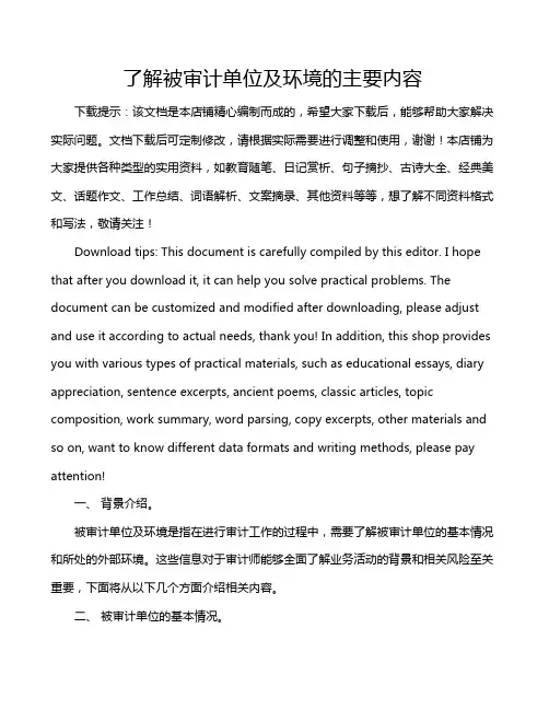 了解被审计单位及环境的主要内容