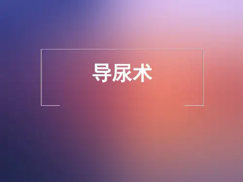 导尿术ppt课件-导尿术