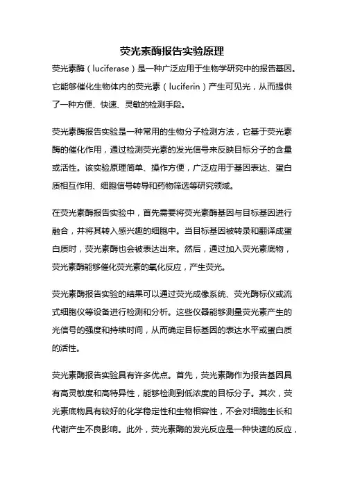 荧光素酶报告实验原理