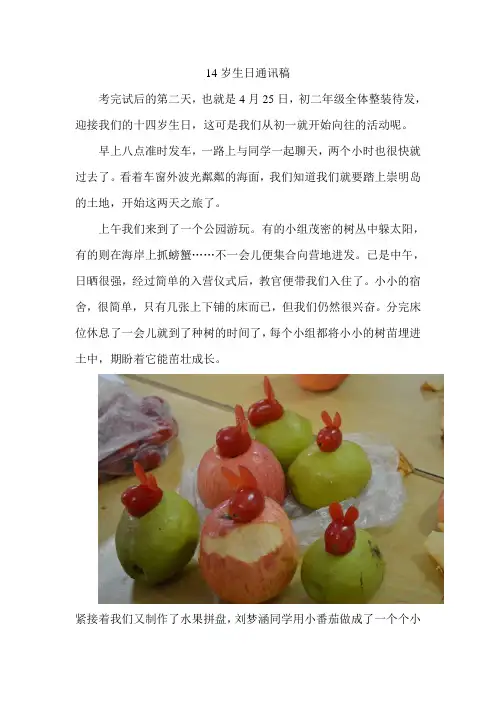 14岁生日通讯稿