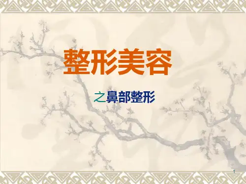 整形美容之鼻部整形PPT课件_2