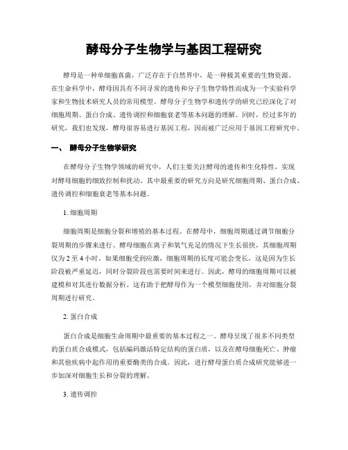 酵母分子生物学与基因工程研究