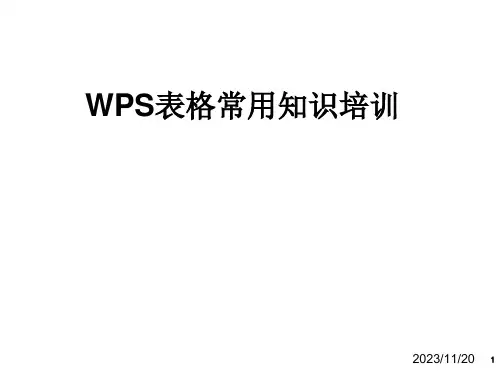 WPS表格培训资料