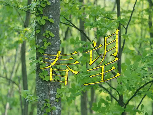 《春望》超实用课件----ppt课件