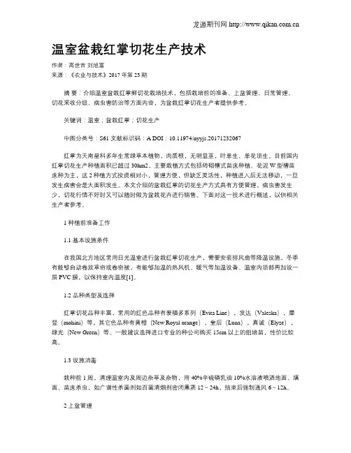 温室盆栽红掌切花生产技术