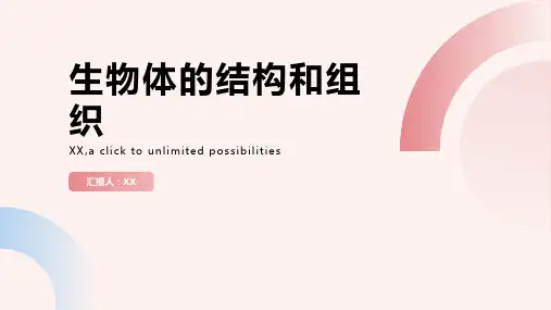 生物体的结构和组织