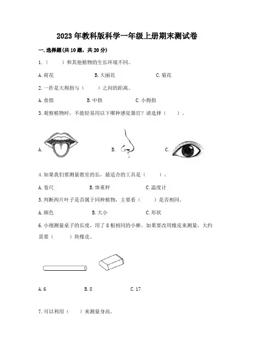 2023年教科版科学一年级上册期末测试卷完整答案