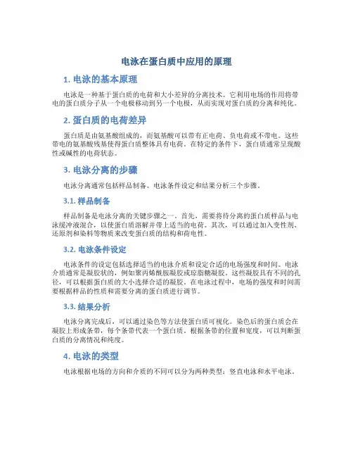 电泳在蛋白质中应用的原理