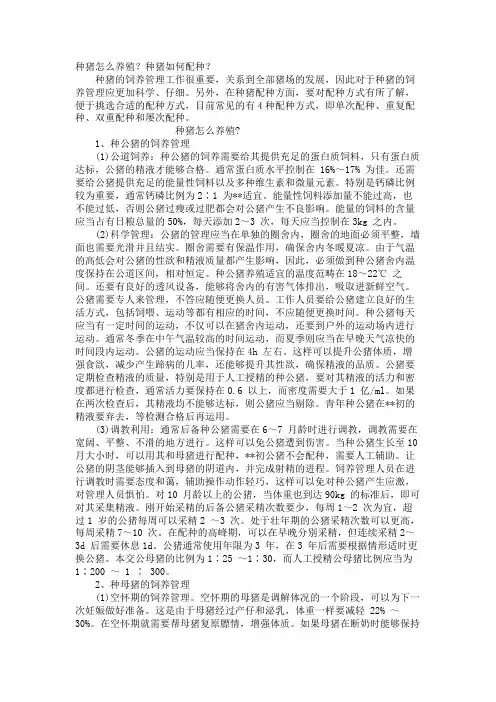 种猪怎么养殖？种猪如何配种？