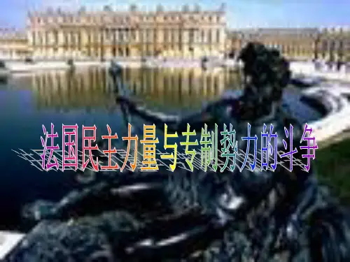 法国大革命(历史高考复习)