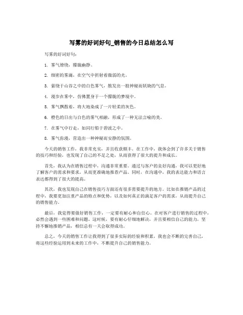 写雾的好词好句_销售的今日总结怎么写