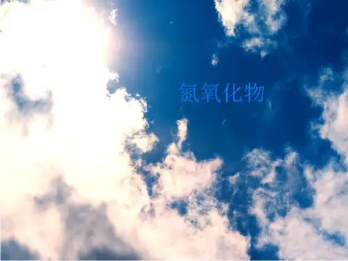 氮氧化物-PPT课件