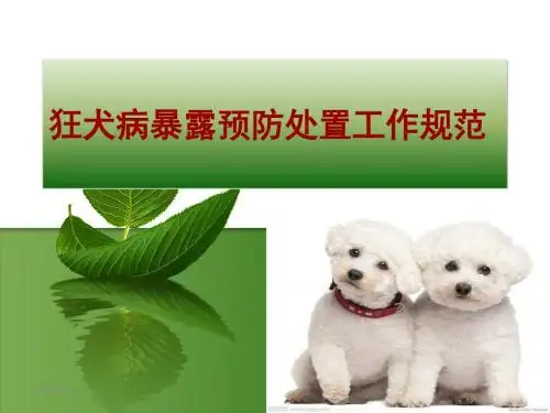 狂犬病暴露预防处置规范