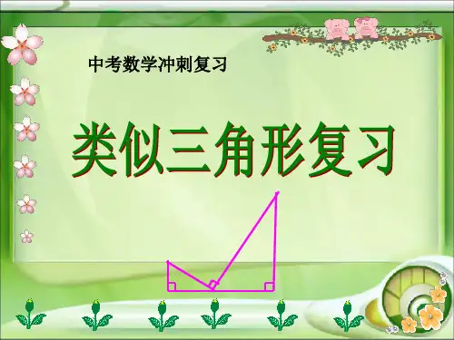 中考数学考前冲刺复习——相似三角形专题课件共30张