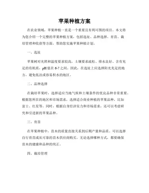 苹果种植方案