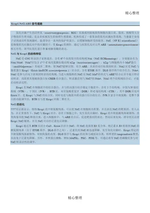 Nrf2相关知识普及
