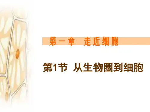 人教版必修1第一章第一节从生物圈到细胞共