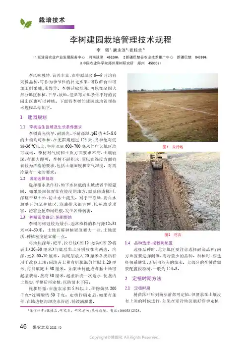 李树建园栽培管理技术规程