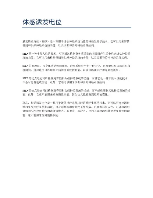 体感诱发电位