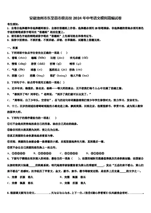 安徽池州市东至县市级名校2024年中考语文模拟精编试卷含解析
