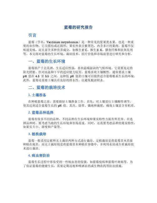 蓝莓的研究报告