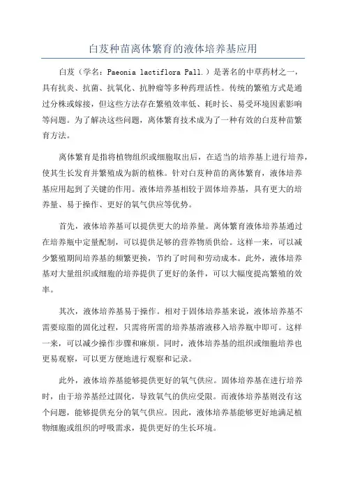 白芨种苗离体繁育的液体培养基应用