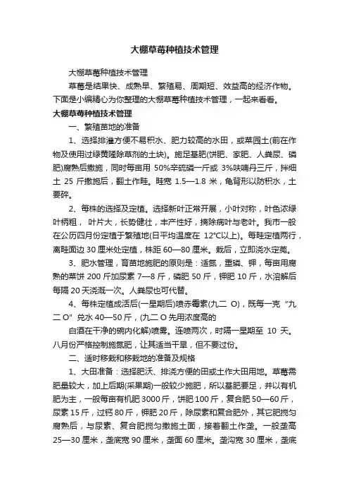 大棚草莓种植技术管理
