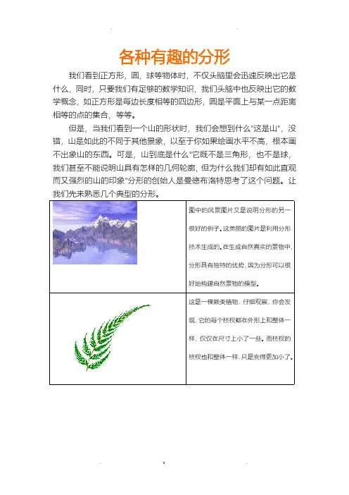 各种有趣的分形