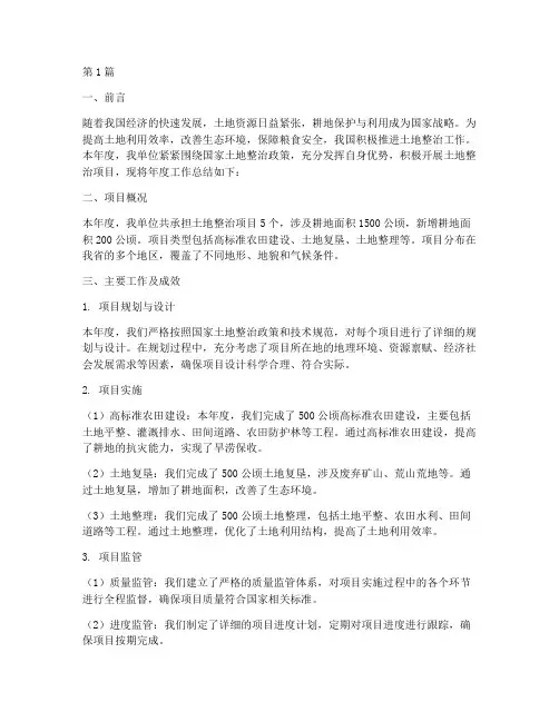 土地整治项目年度总结(3篇)