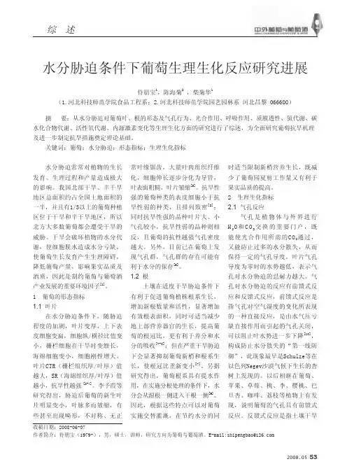 水分胁迫条件下葡萄生理生化反应研究进展