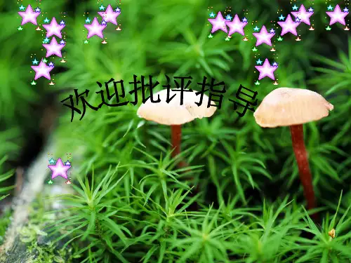 现象类材料作文写作指导