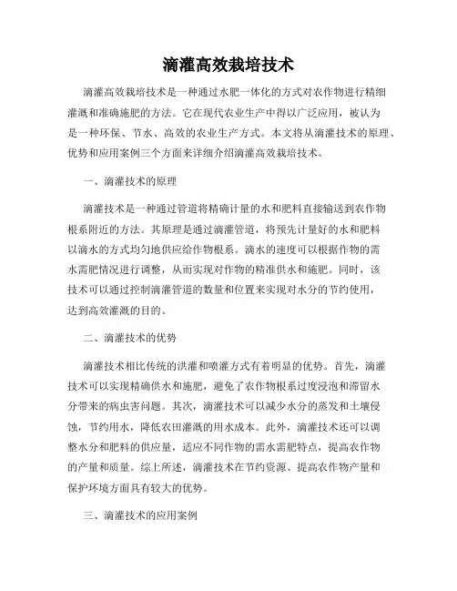 滴灌高效栽培技术