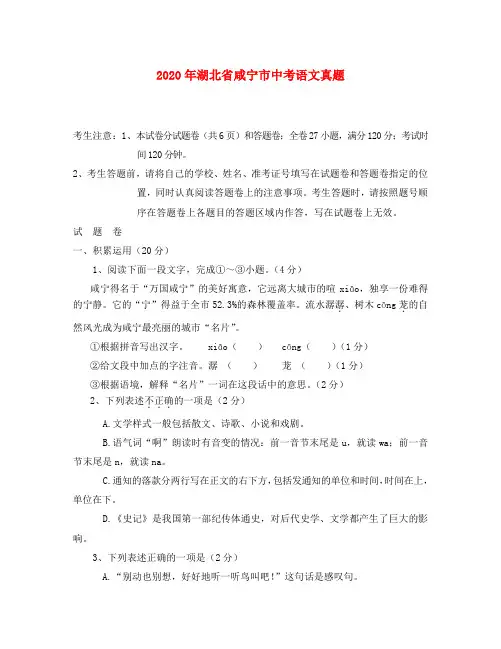 湖北省咸宁市2020年中考真题语文试题