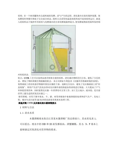 气液一体化完全混合厌氧反映器(CSTR)