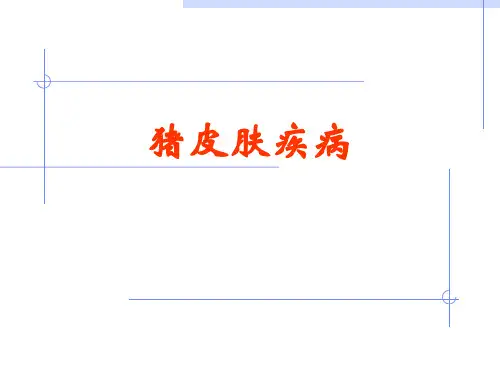 猪皮肤疾病