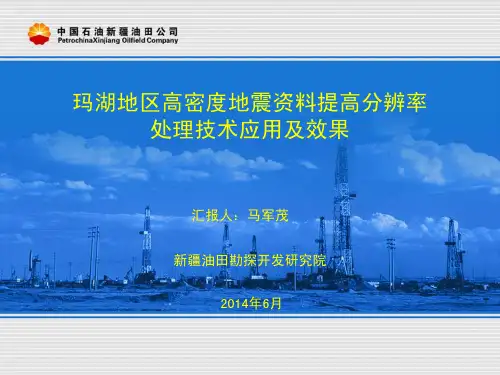 CGG17_玛湖地区高密度地震资料提高分辨率处理应用及效果(马军茂)