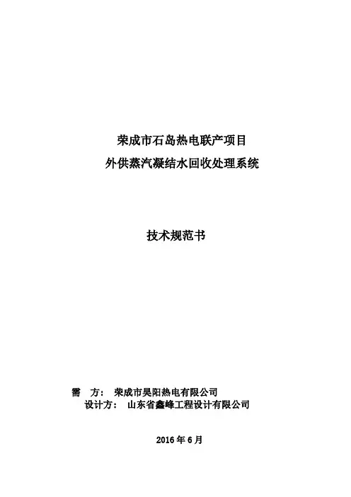 荣成凝结水处理规范书2016.06.14(定稿版)