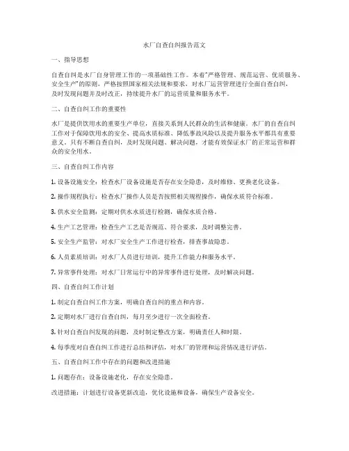 水厂自查自纠报告范文