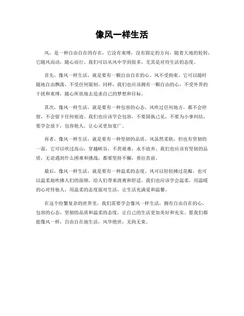 像风一样生活