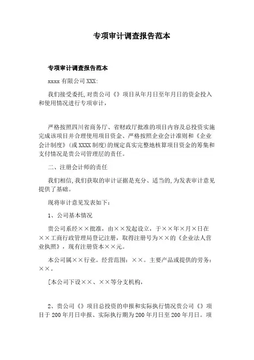 专项审计调查报告范本