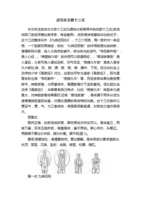 武当文太极十三式