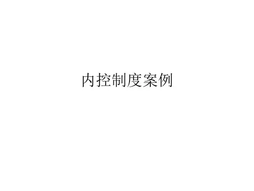 行政事业单位内控制度案例02