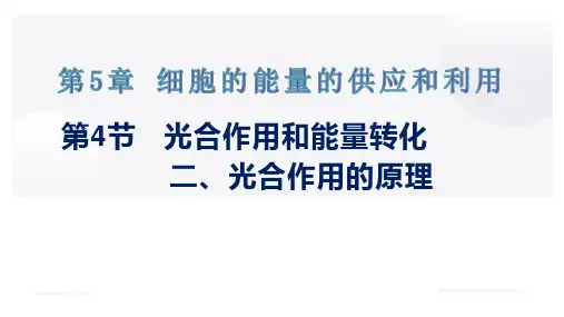 光合作用与能量转化(第2课时光合作用原理)(课件)高一生物(人教版2019必修1)